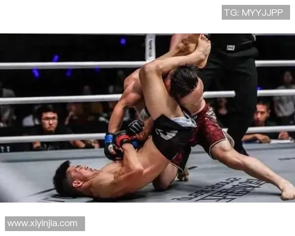 泰拳世界联队与日本武士的巅峰对决谁将称霸武道之巅