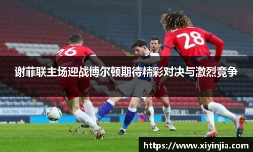 球速体育平台
